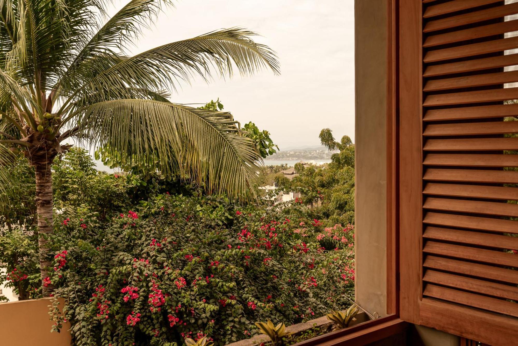 Villa Macarena Apartamentos Boutique - Adults Only Puerto Escondido  Quarto foto